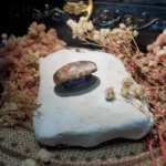 Handcrafted Scarf Pin - Whispers of Thistle 004