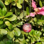 Resin Pendant - Gul-e-Hawa 005